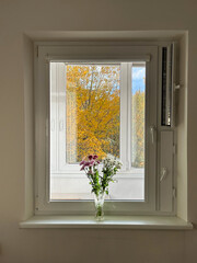 chrysanthemums on the windowsill in a vase.  View of autumn 