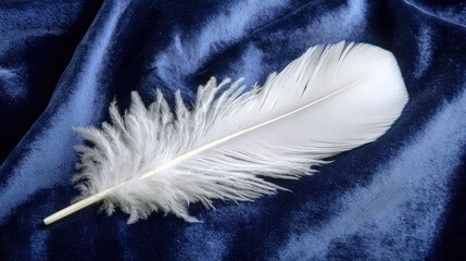 Single white feather on dark blue velvet.