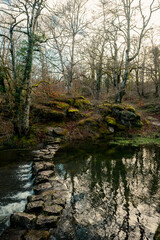 Beautiful Gorbea mountain forest and river during the fall and winter