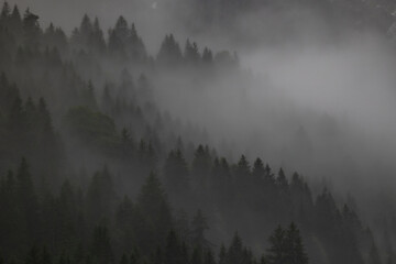 Herbst Morgen