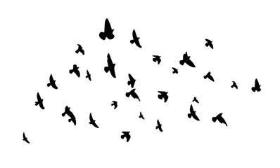 Flying birds silhouette flock. hand drawing. Not AI. Vector illustration.