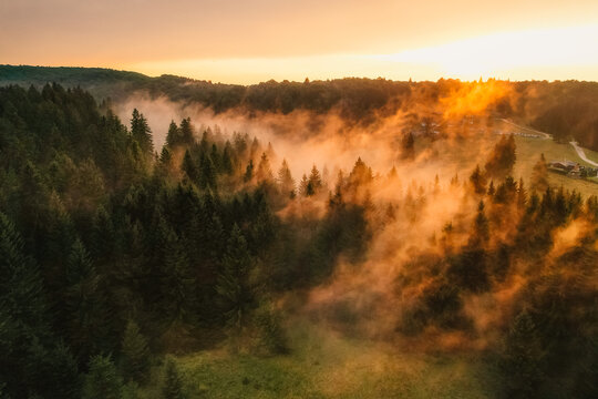 Aerial sunrise on the plain with fog and trees on the meadow. Summer landscape from Poiana Brasov, ski resort, Romania - Powered by Adobe
