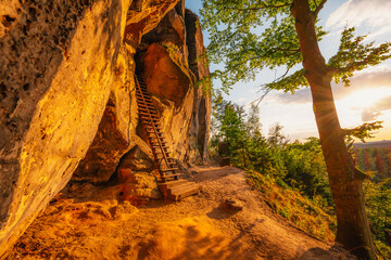 Obraz premium Sunset of rock castle Schauenstein, saunstejn from 14-th century, Bohemian Switzerland, Czech Republic