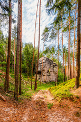 Fototapety na wymiar - Fototapeta24.pl