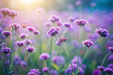 Obraz premium Purpletop Vervain Double Exposure: Dreamy Floral Photography
