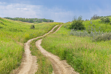 Dirt field road in rural Saskatchewan in the summer.