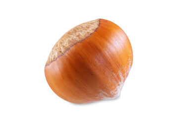 Raw hazelnut macro on a white isolated background