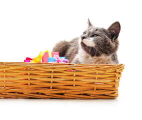 Cat in a basket and gifts.