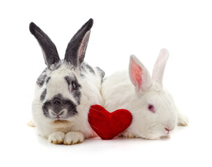 Two white rabbits and heart.