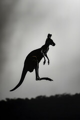 Dynamic Kangaroo Silhouette in Mid-Leap