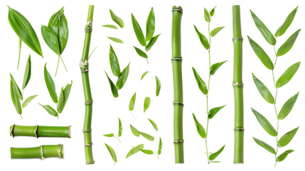 A set of green bamboo stalks and leaves, isolated on white background