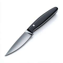 Obraz premium A versatile vegetable knife with a black ergonomic handle and a sharp stainless steel blade, perfect for precise vegetable preparation