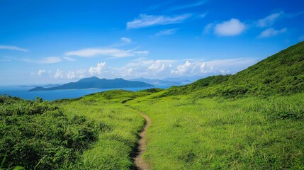 Naklejka premium Scenic pathway through lush green hills leading to mountains and ocean under blue sky