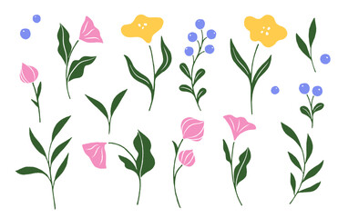Collection of hand-drawn colorful flowers with green leaves isolated on white background. Floral botanical elements for spring and summer design. Decorative illustration for patterns and prints.