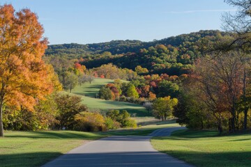 Fototapeta premium A winding road meanders through a scenic forest filled with vibrant autumn leaves. The landscape is bathed in warm sunlight. This picturesque setting invites relaxation and exploration