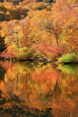 autumn landscape with lake