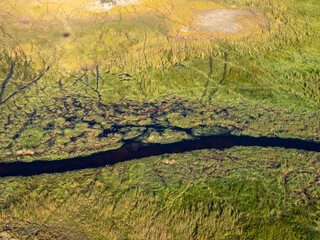 Naklejka premium Aerial view of an Okavango landscape in Botswana.