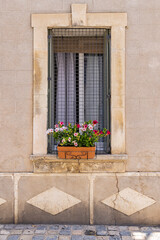 Aigues-Mortes, Gard, Occitania, France. Flowers in a window box on an old building in Provence.