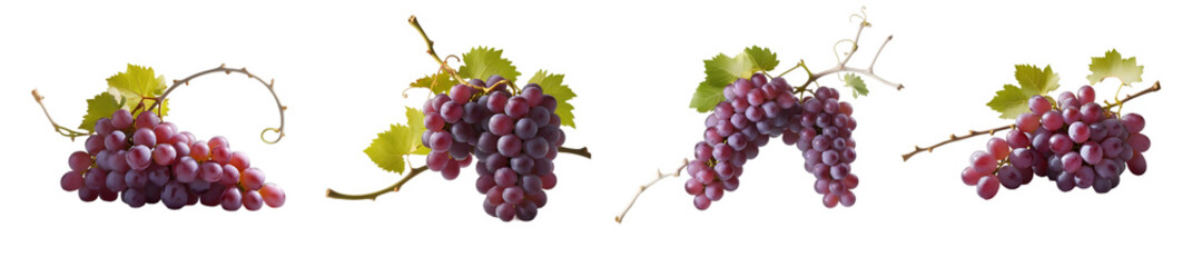 Obraz premium A set of grape illustrations with a transparent background are provided in PNG format.