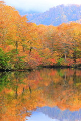 Obraz premium autumn landscape with lake