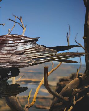Raven Feathers Shine Under Sunlight with a Branch and Blue Sky, Showcasing Nature&rsquo;s Elegance and Beauty in Close-Up Detail