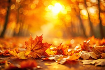 Sunny Orange Autumn Background:  Empty Space with Leaf Shadows and Fall Foliage