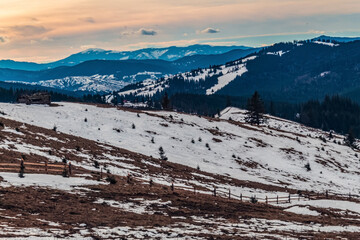 Landscapes - Forest - Europe, Romania, Suceava region 