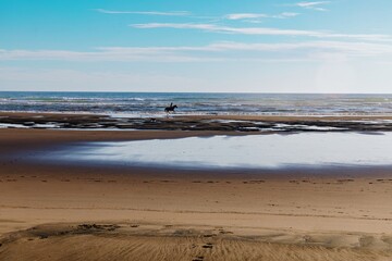 A lone rider on horseback, enjoying the beach, with a dog nearby. Coastal scene, perfect for a tranquil moment. Bethells Beach, Auckland, New Zealand