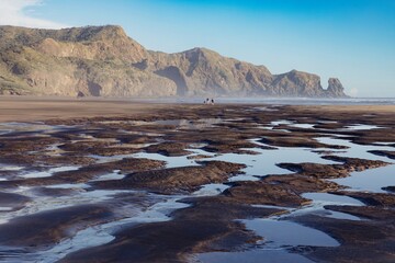 Low tide reveals intricate patterns on a dark sand Bethells Beach, with people walking along the shoreline. Coastal scenery. Bethells Beach, Auckland, New Zealand
