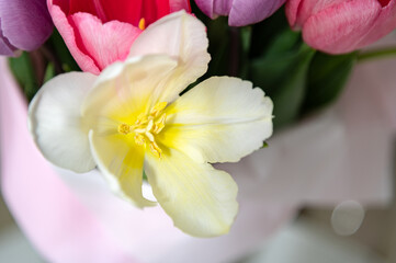 Colorful bouquet featuring white and pink tulips arranged elegantly in fresh floral display