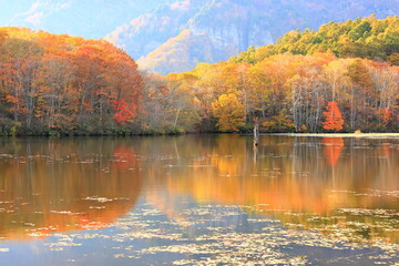 autumn landscape with lake