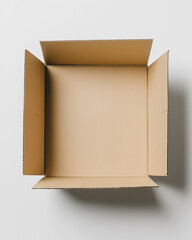 Open cardboard box on white background. 