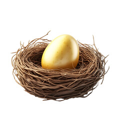Fototapeta premium Golden Egg Rests in Bird's Nest, Isolated on White Background