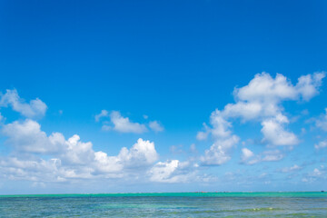 Brasil praia do nordeste Alagoas Maceió 