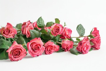 Fototapeta premium Bunch of rosy roses isolated on white