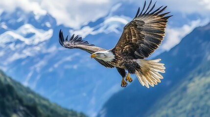 Obraz premium Eagle soaring in the sky, close-up of sharp talons and wings in motion, bright blue sky and distant mountains