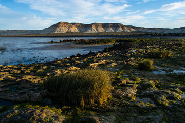 Cerro Avanzado protected area, , World Heritage Site, Chubut Province, Patagonia, Argentina.