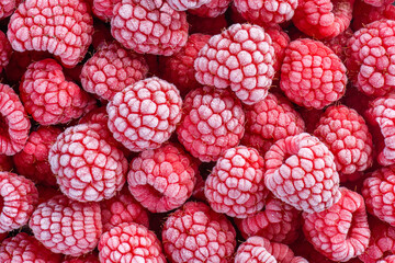 frozen red raspberries covered with white frost