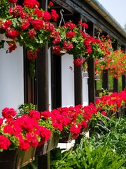 Flower arrangement. The Paloc village Holloko in Hungary, listed as UNESCO World Heritage Site. The traditional farm houses form a complete village as it looked during the middle ages.