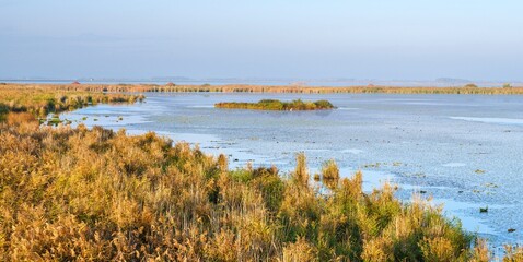 Landscape at the Hortobagy Great Fishponds (Hortobagy-Halasto) in the National Park Hortobagy, listed as UNESCO World Heritage Site and Ramsar site. Eastern Europe, Hungary.