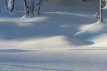 Obraz premium Lake in a snowy coniferous forest zone, winter morning