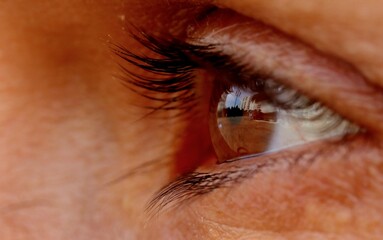 ojo femenino de color marron y pesta&ntilde;as oscuras