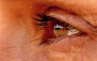 ojo femenino de color marron y pesta&ntilde;as oscuras