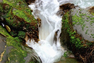 agua corriendo entre piedras en costa rocosa