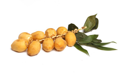 fresh branch of dates on white background