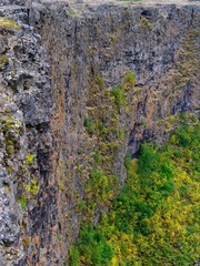 Asbyrgi canyon in Vatnajokull National Park. The canyon war formed by glacial river Jokulsa a Fjollum, before the river changed its course. Iceland