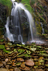 Ireland, Ferriter's Cove. Close-up of waterfall and mossy rocks.