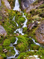 Vallesinella Falls, Cascate Alte, an icon of the Dolomiti di Brenta in the Parco Naturale Adamello...