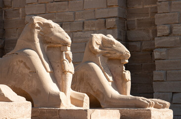 Ram-headed sphinx at the temple of Amun-Ra in Karnak, Luxor