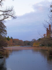 Inogashira Park at Tokyo, Japan.